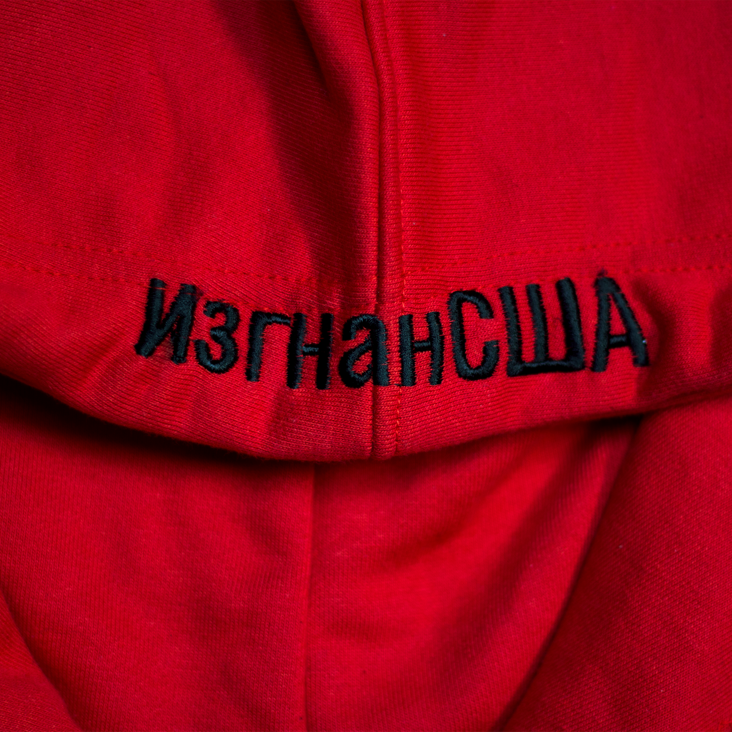 R.S.E Hoodie