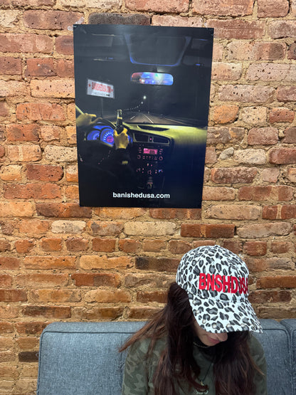 Nighttime Driver Poster